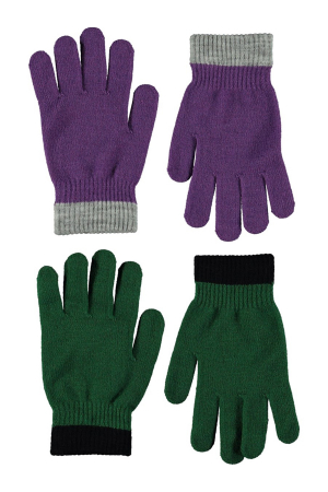 Перчатки для мальчиков Molo (Дания) Разноцветный 7W23S202-8761