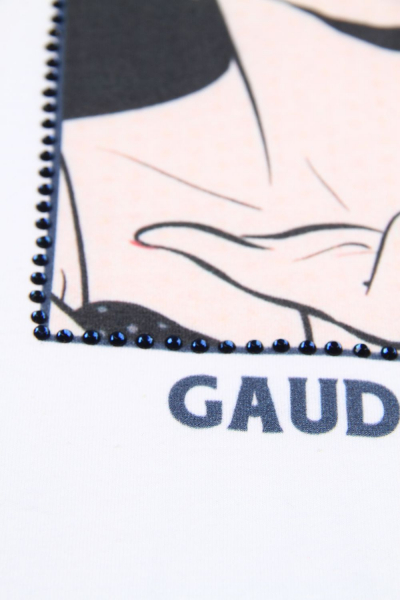 :    Gaudi ()