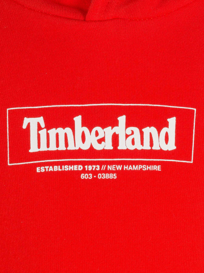 :    Timberland