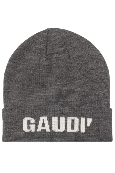 :    Gaudi ()