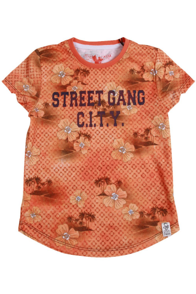 :    Street Gang ()