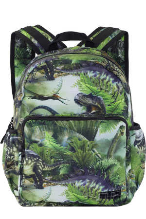 Рюкзак для детей Molo (Китай) Зелёный 7W22V202-6580