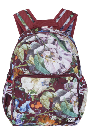 Рюкзак для детей Molo (Китай) Красный 7W22V202-6600