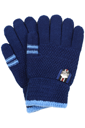 Перчатки для мальчиков Laddobbo (Китай) Синий AP-37882-19-497