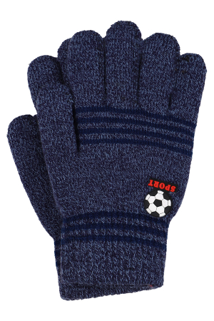 Перчатки для мальчиков Laddobbo (Китай) Синий AP-37882-12-4