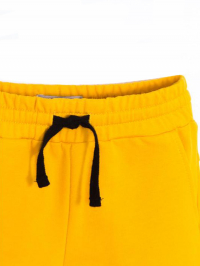Спортивные брюки Брюки Жёлтый